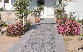 Xrysanthis Home