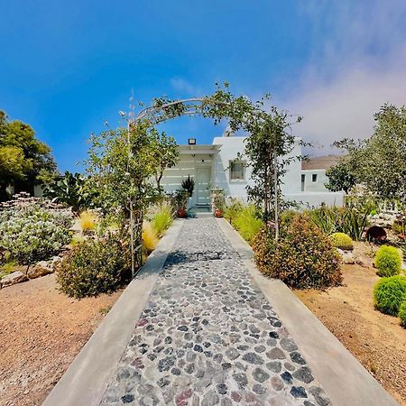Xrysanthis Home Εμπορειό Εξωτερικό φωτογραφία